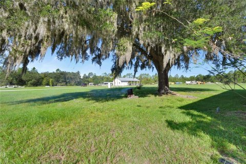 Propiedad comercial en venta en Pierson, Florida, 137.59 m2 № 2373868 - foto 5