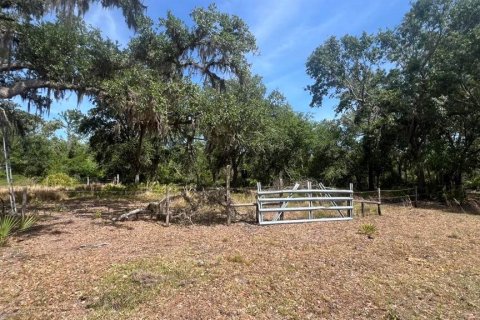 Land in Myakka City, Florida № 2266343 - photo 8