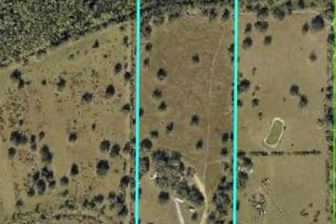 Land in Myakka City, Florida № 2266343 - photo 12