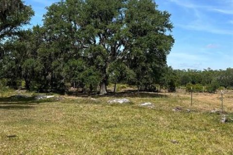 Land in Myakka City, Florida № 2266343 - photo 10