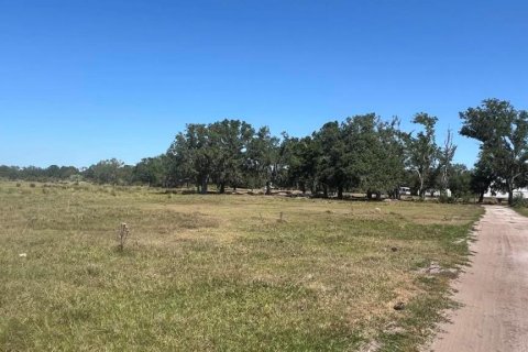 Land in Myakka City, Florida № 2266343 - photo 9