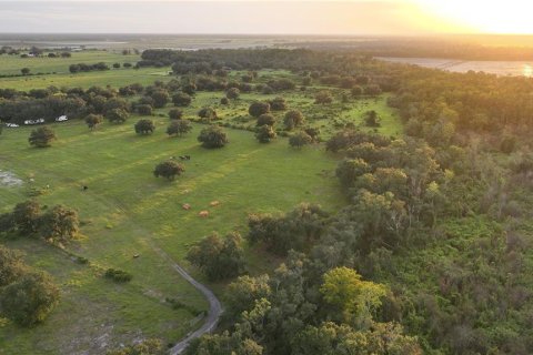 Land in Myakka City, Florida № 2266343 - photo 4
