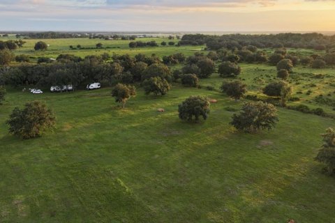 Land in Myakka City, Florida № 2266343 - photo 6