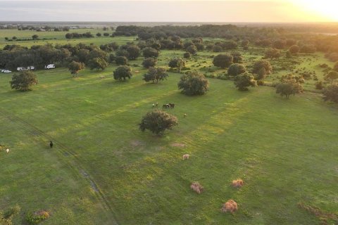 Land in Myakka City, Florida № 2266343 - photo 2