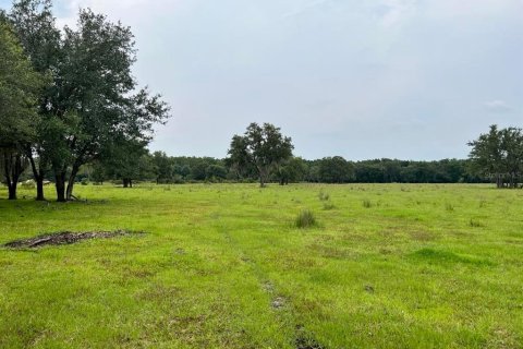 Land in Myakka City, Florida № 2266343 - photo 7