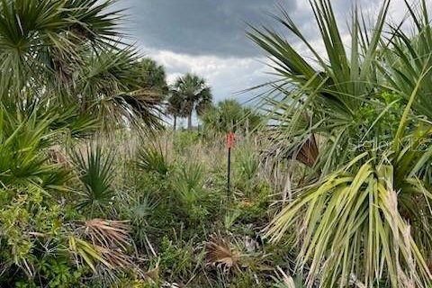 Terrain à vendre à Punta Gorda, Floride № 2218610 - photo 6