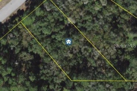 Land in Ocala, Florida № 2166791 - photo 2