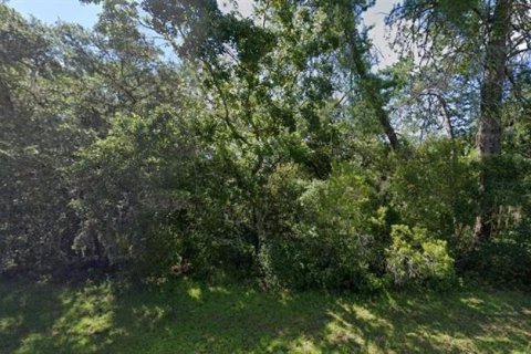 Land in Ocala, Florida № 2166791 - photo 3