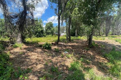 Land in Umatilla, Florida № 2213616 - photo 4