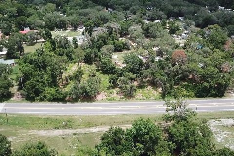 Land in Umatilla, Florida № 2213616 - photo 5