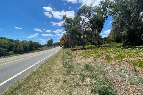 Land in Umatilla, Florida № 2213616