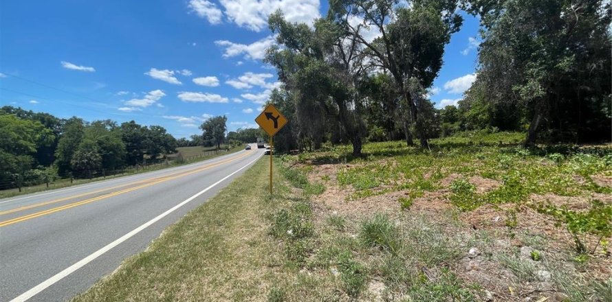 Land in Umatilla, Florida № 2213616