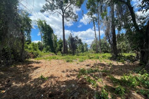 Land in Umatilla, Florida № 2213616 - photo 2
