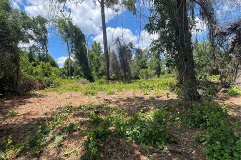 Land in Umatilla, Florida № 2213616 - photo 3