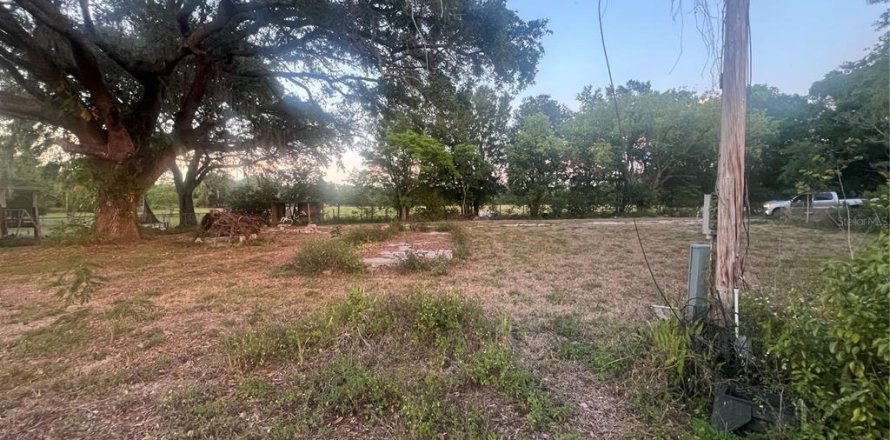 Terreno en Lakeland, Florida № 1643149