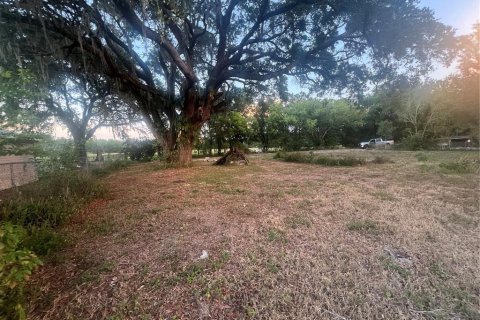 Land in Lakeland, Florida № 1643149 - photo 7
