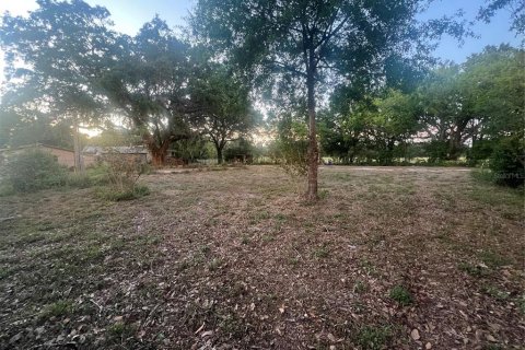 Land in Lakeland, Florida № 1643149 - photo 10