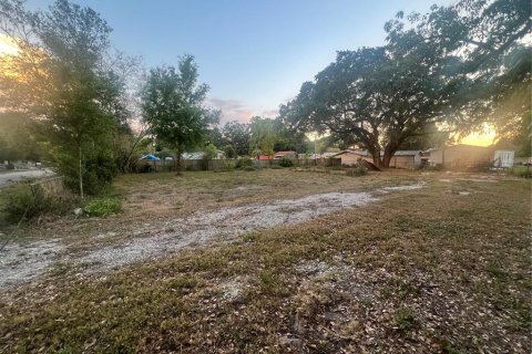 Land in Lakeland, Florida № 1643149 - photo 2