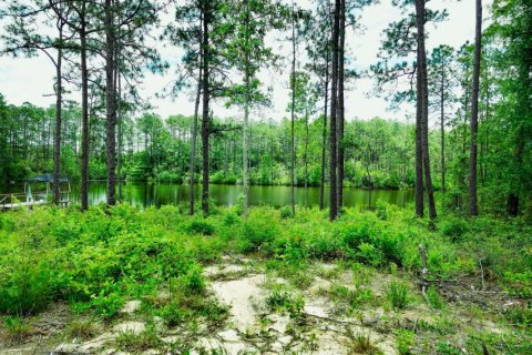 Terreno en venta en De Funiak Springs, Florida № 561111 - foto 1