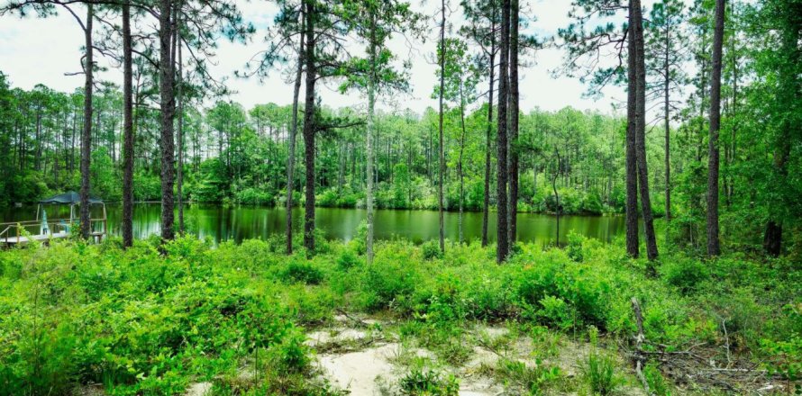 Terreno en De Funiak Springs, Florida № 561111