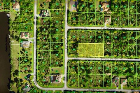 Land in Port Charlotte, Florida № 1837081 - photo 1