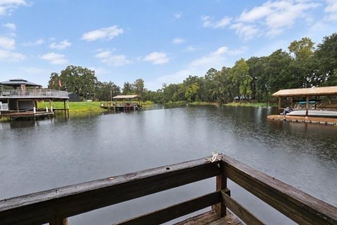 Villa ou maison à vendre à Fruitland Park, Floride: 3 chambres, 180.6 m2 № 2433741 - photo 3
