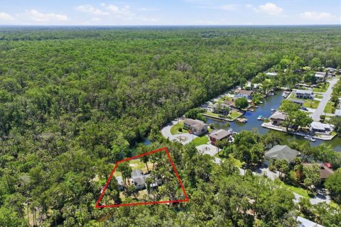 House in Weeki Wachee, Florida 3 bedrooms, 138.05 sq.m. № 2111488 - photo 25