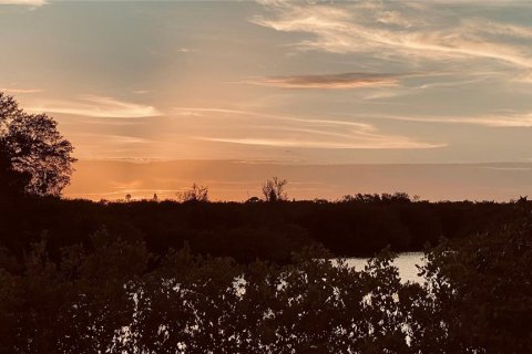 Land in Saint Petersburg, Florida № 1654872 - photo 7