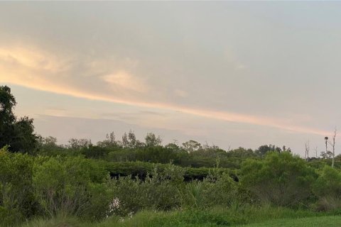 Land in Saint Petersburg, Florida № 1654872 - photo 5