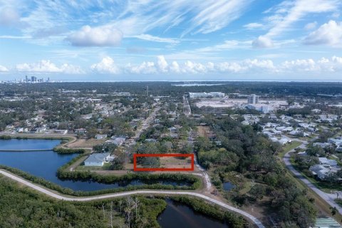 Land in Saint Petersburg, Florida № 1654872 - photo 3
