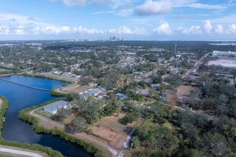 Land in Saint Petersburg, Florida № 1654872 - photo 6