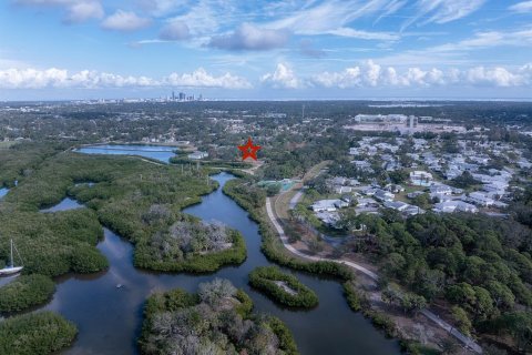 Land in Saint Petersburg, Florida № 1654872 - photo 2