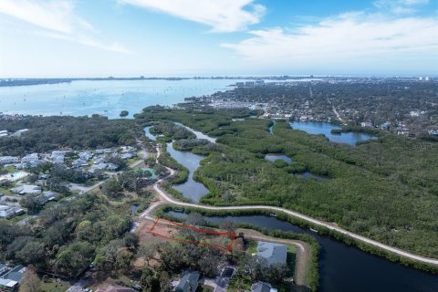 Land in Saint Petersburg, Florida № 1654872 - photo 1