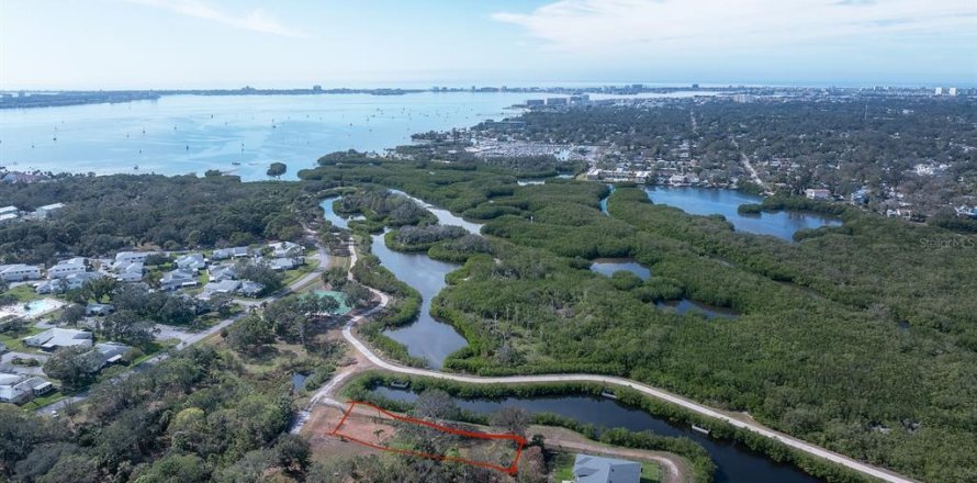 Land in Saint Petersburg, Florida № 1654872