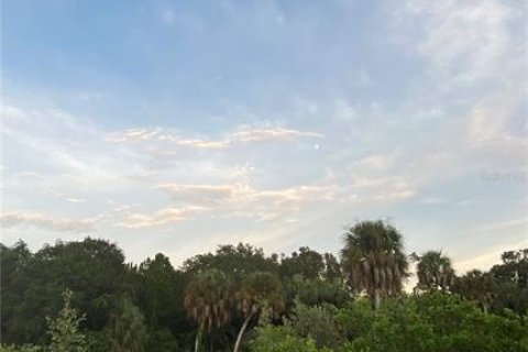 Land in Saint Petersburg, Florida № 1654872 - photo 14