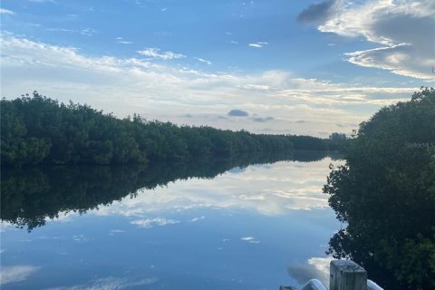 Land in Saint Petersburg, Florida № 1654872 - photo 9