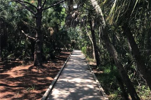 Land in Saint Petersburg, Florida № 1654872 - photo 11