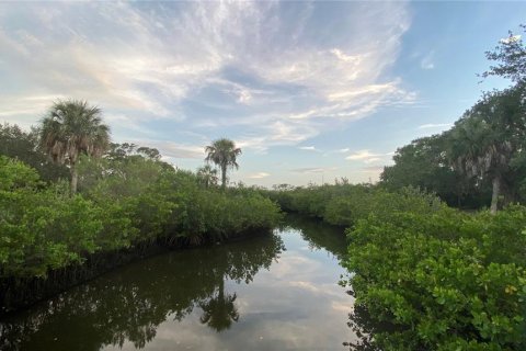Land in Saint Petersburg, Florida № 1654872 - photo 15
