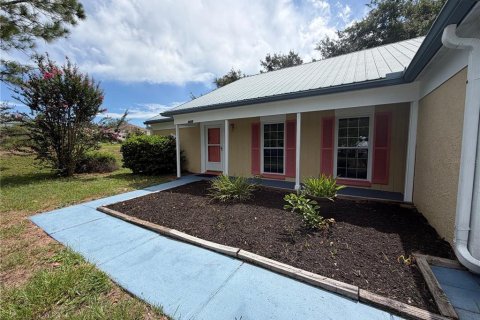 Villa ou maison à vendre à Valrico, Floride: 3 chambres, 157 m2 № 2223266 - photo 3