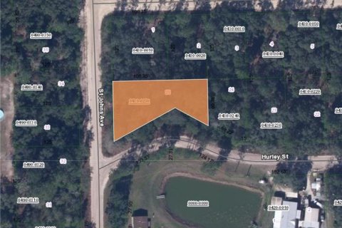Land in Interlachen, Florida № 2239965