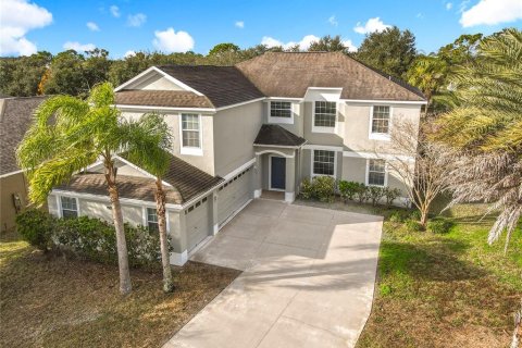 House in Mount Dora, Florida 5 bedrooms, 336.86 sq.m. № 2214281 - photo 6