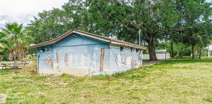 Commercial property in Tampa, Florida 44.59 sq.m. № 1167631