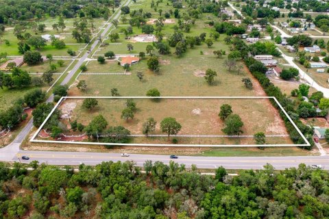 Terrain à vendre à Brooksville, Floride № 1735083 - photo 5