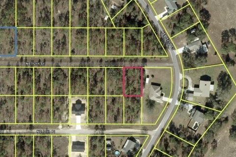 Land in Alachua, Florida № 2162283 - photo 2