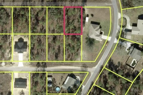 Land in Alachua, Florida № 2162283