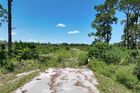 Land in Sebring, Florida № 2393483