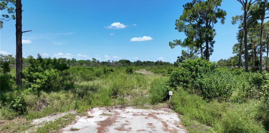 Land in Sebring, Florida № 2393483