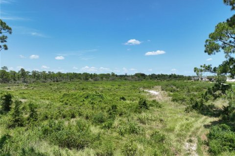 Land in Sebring, Florida № 2393483 - photo 9
