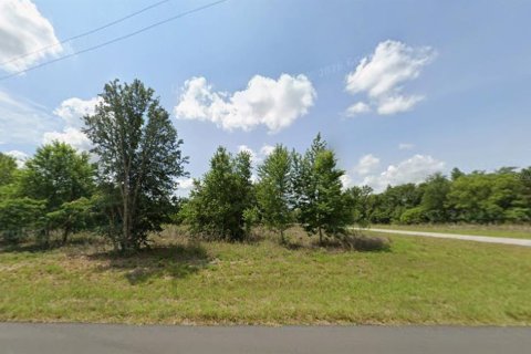Terrain à Ocala, Floride № 2371426