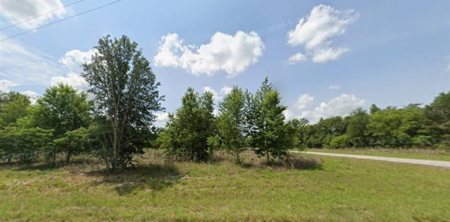 Terrain à Ocala, Floride № 2371426